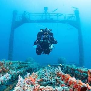 Meet your Posher, Adam